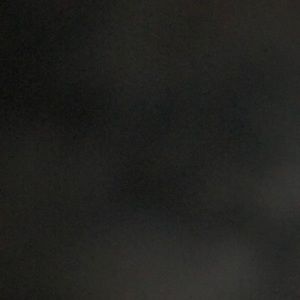 Meet your Posher, Caitlyn